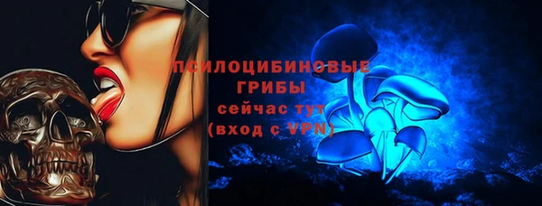 стафф Алексеевка