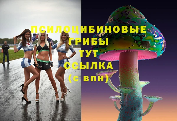 стафф Алексеевка