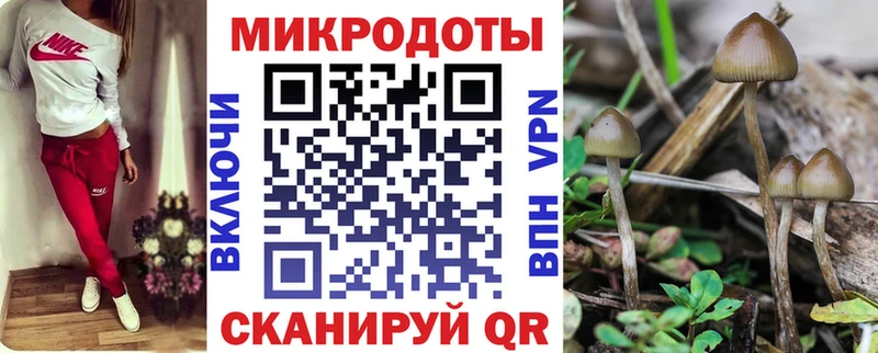 Псилоцибиновые грибы ЛСД  где купить наркоту  Самара 