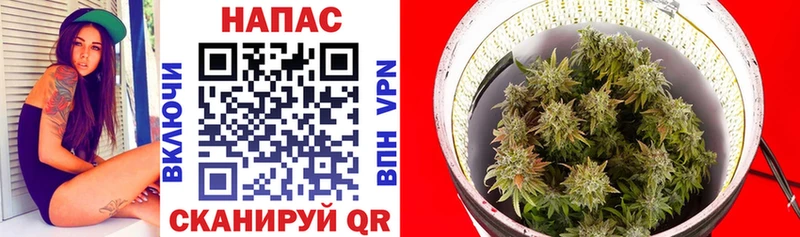 где купить   Самара  Канабис Ganja 